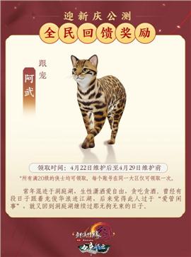 青云网络天龙八部私服